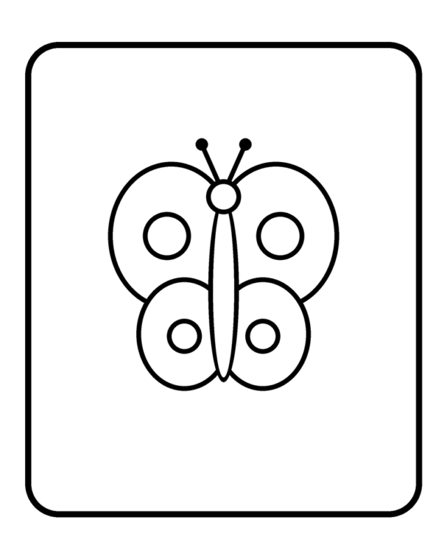 Cute Butterfly with Frame